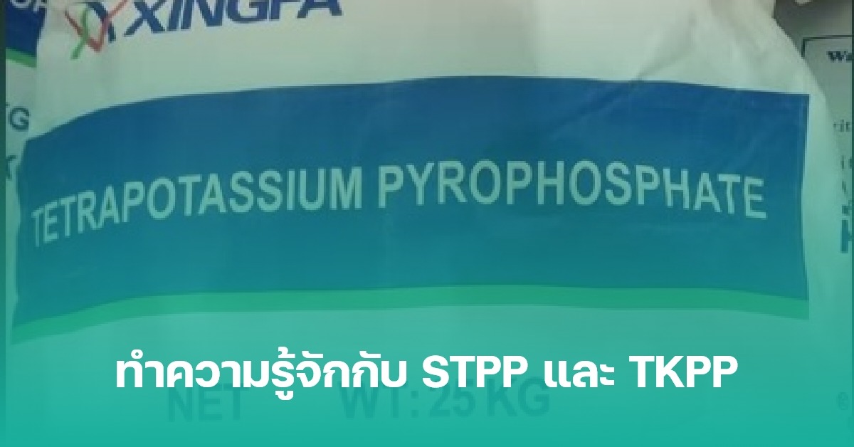 ทำความรู้จักกับ STPP และ TKPP