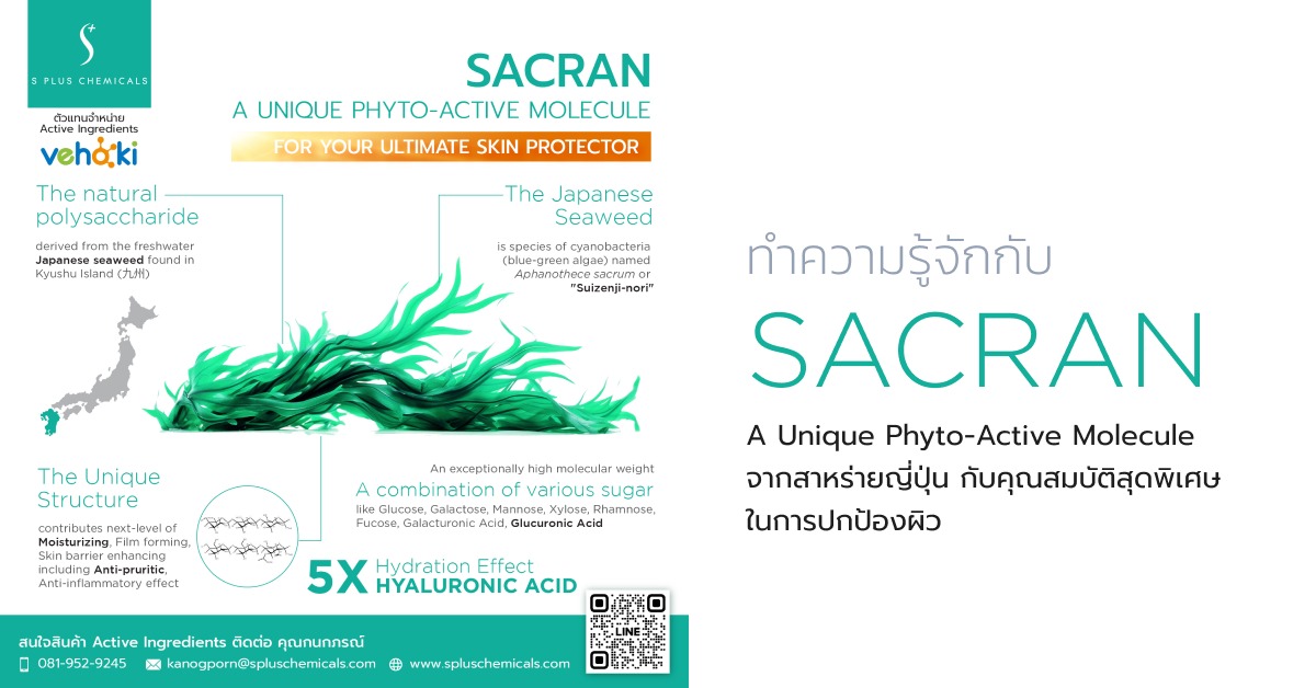 ทำความรู้จักกับ Sacran; A Unique Phyto-Active Molecule จากสาหร่ายญี่ปุ่น กับคุณสมบัติสุดพิเศษในการปกป้องผิว